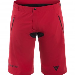 HG Shorts 2 Mens