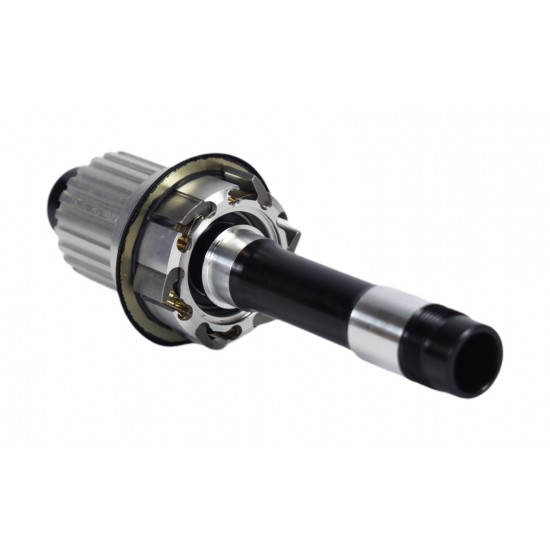 Freehub MTB 12 Speed Microspline