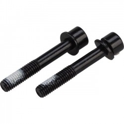 TRP Spare Mounting bolts(x2)for Flat Mount Rear cal 42mm