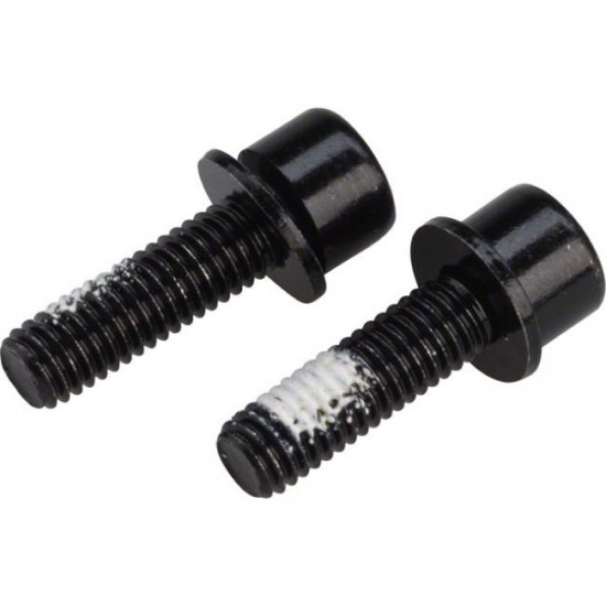 TRP Spare Mounting bolts(x2)for Flat Mount Rear cal 42mm