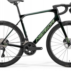 Merida Scultura Endurance 9000 - Green