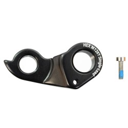 Derailleur Hanger TA ST SS 076