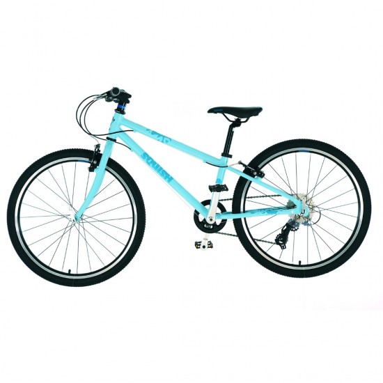 squish 24 bike mint