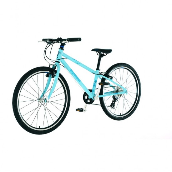 squish 24 bike mint