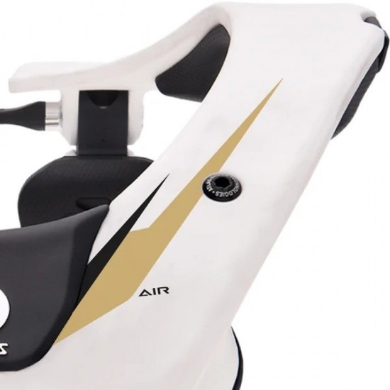 Atlas Air White Gold Neck Brace